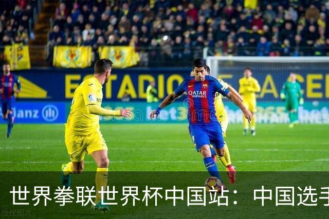 世界拳联世界杯中国站：中国选手斩获5金